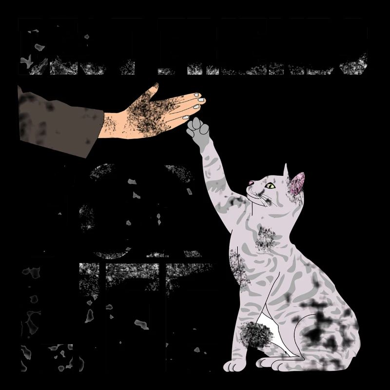 Katze Katzen