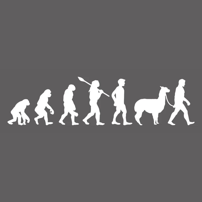 Evolution Alpaca Hike Fun Gift Idea Fun