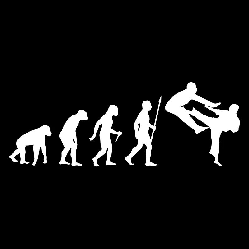 LUSTIGE KARATE-EVOLUTION