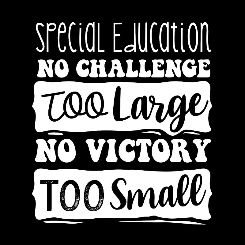 Special Needs Education, Special Education