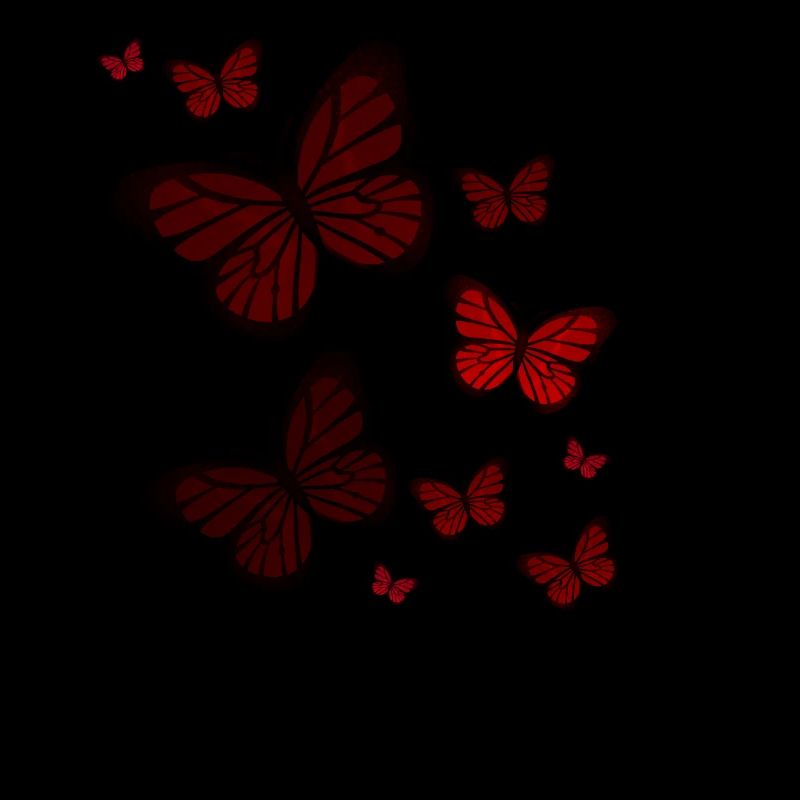 Papillon Papillon Papillon enfants