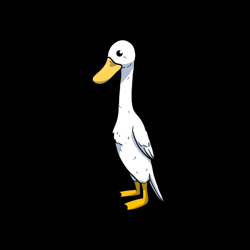 Running duck