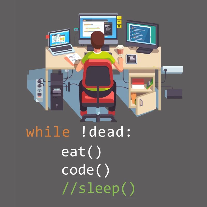 Informatik Python Programmierer Eat Code Sleep