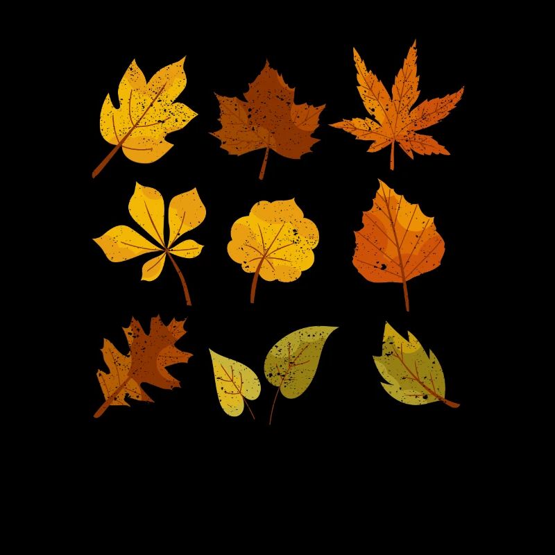 Fall Leaves Oktober Lover Herbst Leave Maple Leaf
