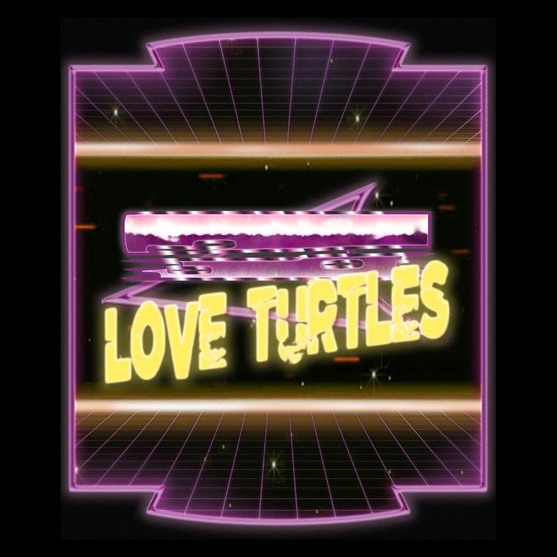 gift idea turtle life cycle turtle care awesome