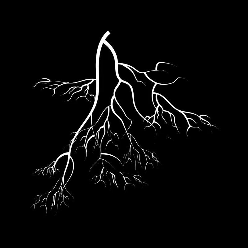 root