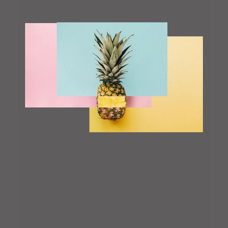 Bunte Ananas / Geschenk Idee
