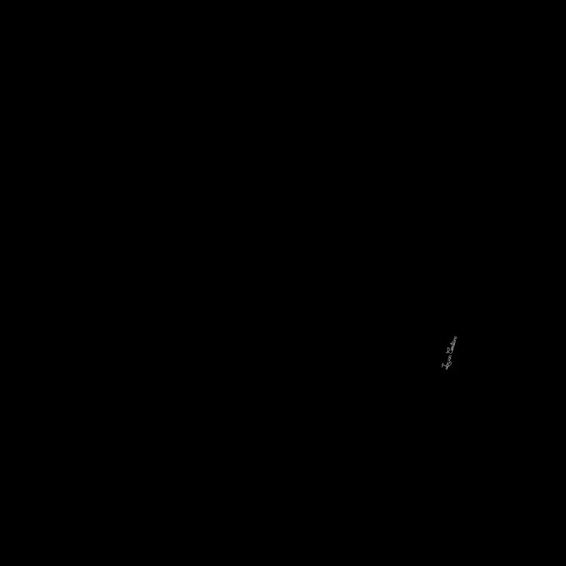 Silhouette Team Spitz