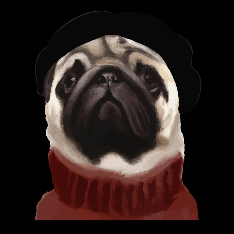 Chien carlin avec casquette et pull