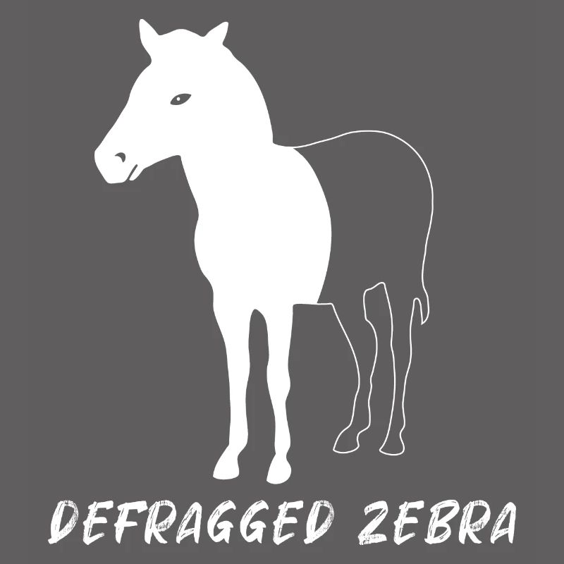Defragged Zebra Admin Geek Programmierer Geschenk