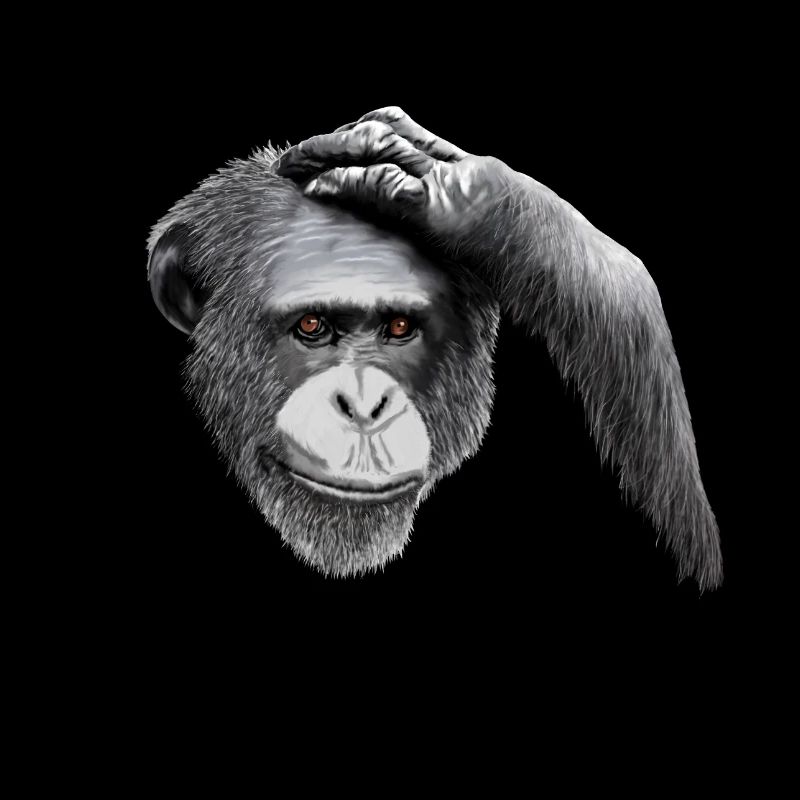 HANG ON, LET ME OVERTHINK THIS - chimpanzee, gray