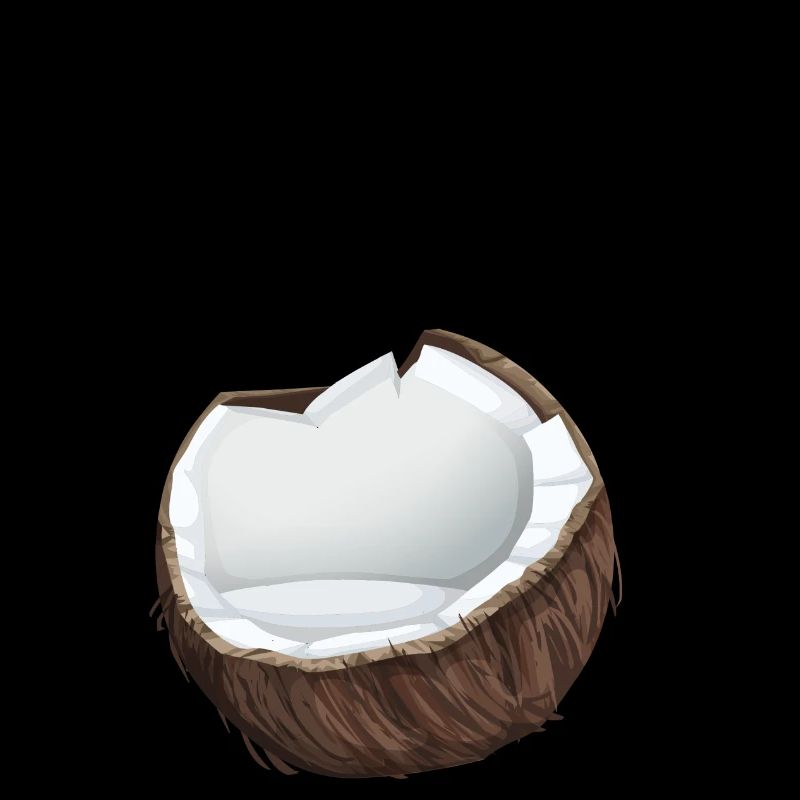 Noix de coco avec inscription Coco et palmiers