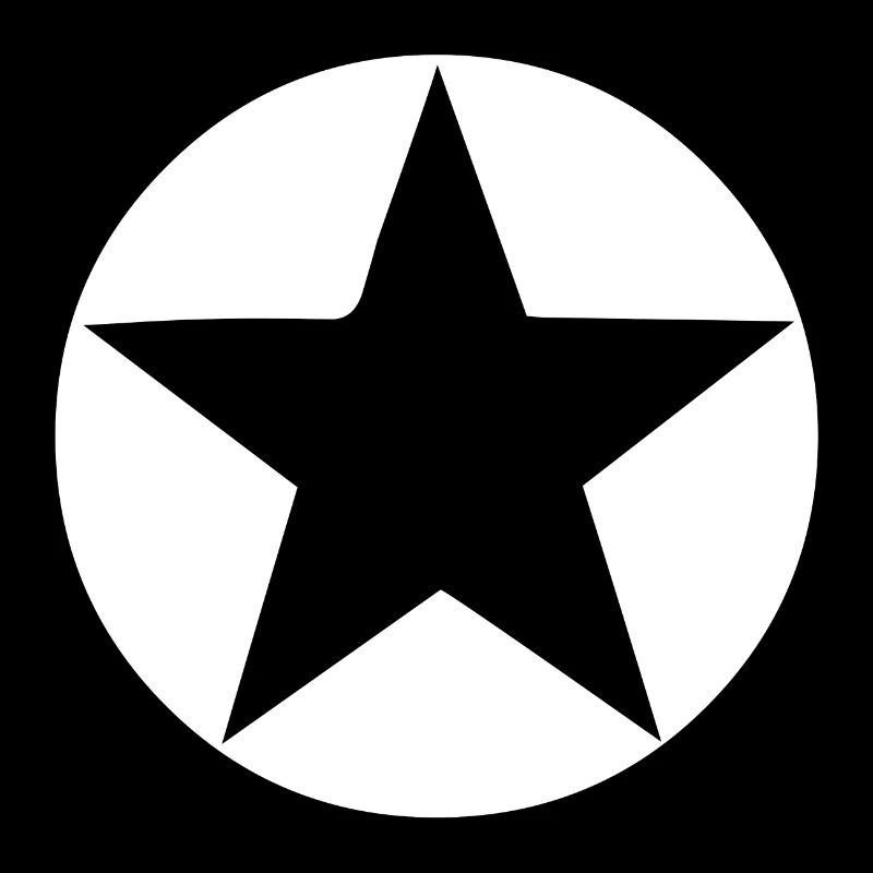 Circle star shape icon