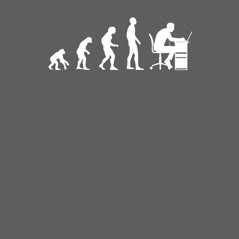 Programmer