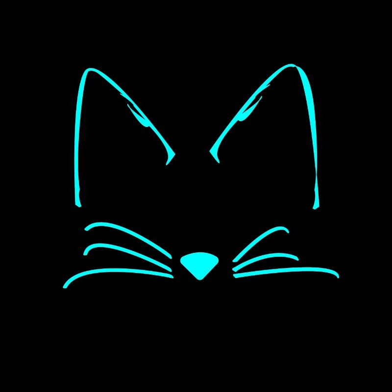 Chats chat mignon