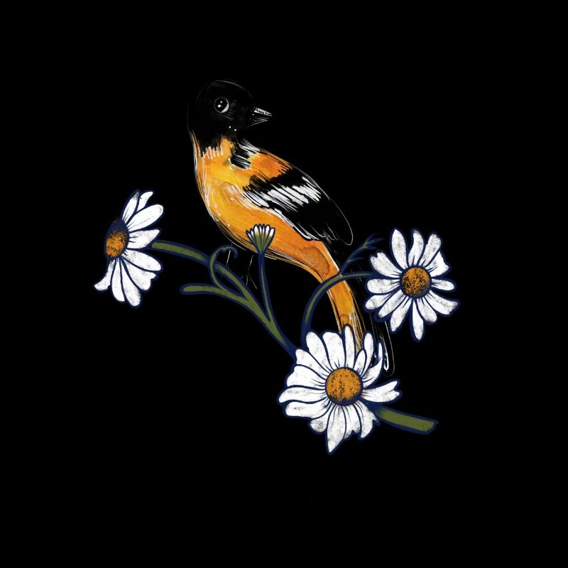 Baltimore Oriole