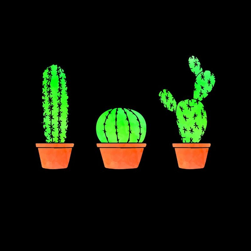 Trois types de cactus aquarelle cactus