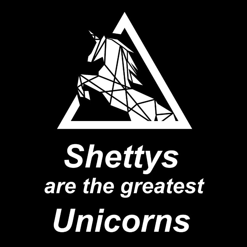 Shetty Shetland Pony Einhorn