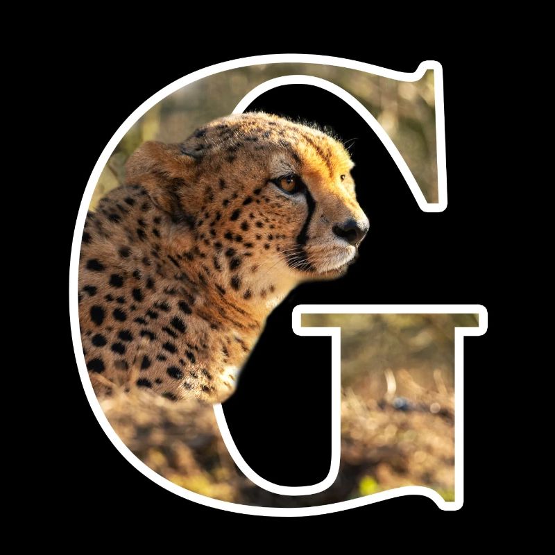 G Guépard alphabet animaux