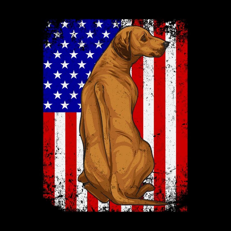 Chien Rhodesian Ridgeback