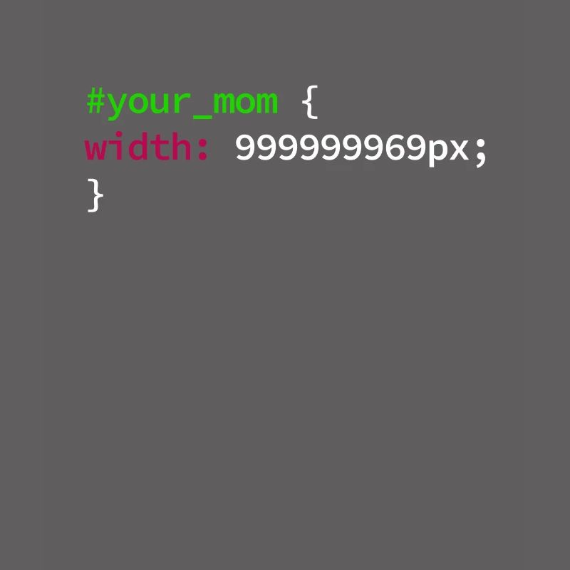 Web und CSS Programmierer Developer Coding Code