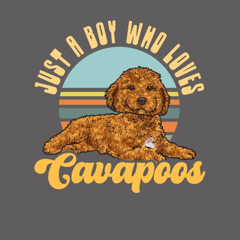 Cavapoo Cavoodle Capoodle Dog