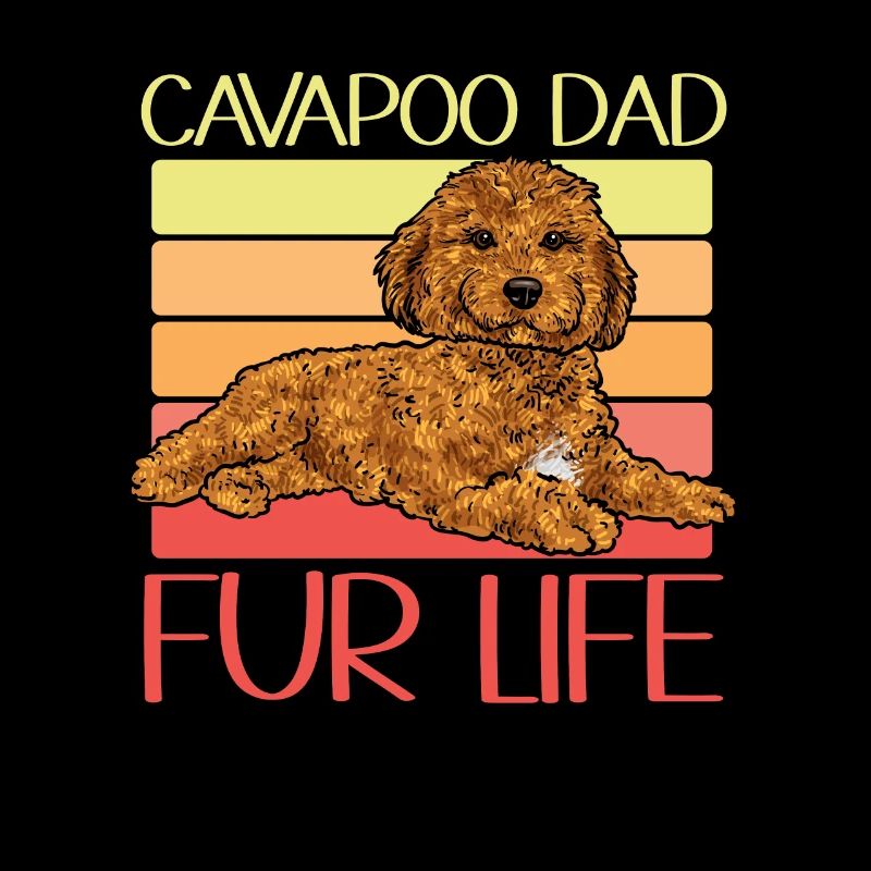 Cavapoo Cavoodle Capoodle Chien