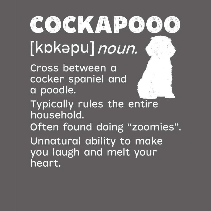 Cockapoo Dog