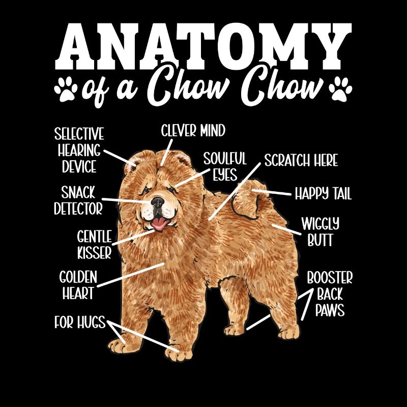 Chow Chow Hund