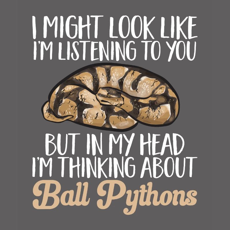 Ball Python Snake King Python