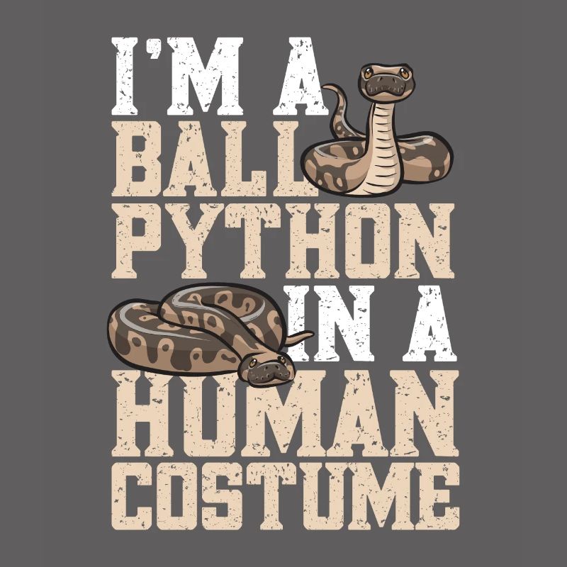 Ball Python Schlange Königspython