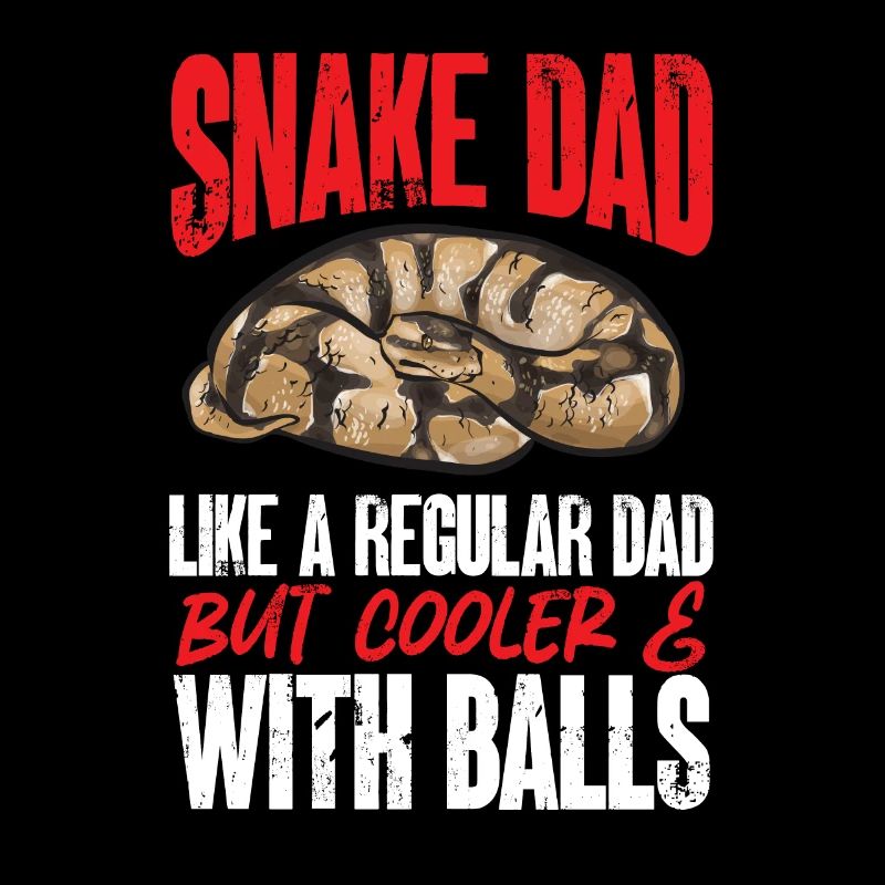 Ball Python Schlange Königspython