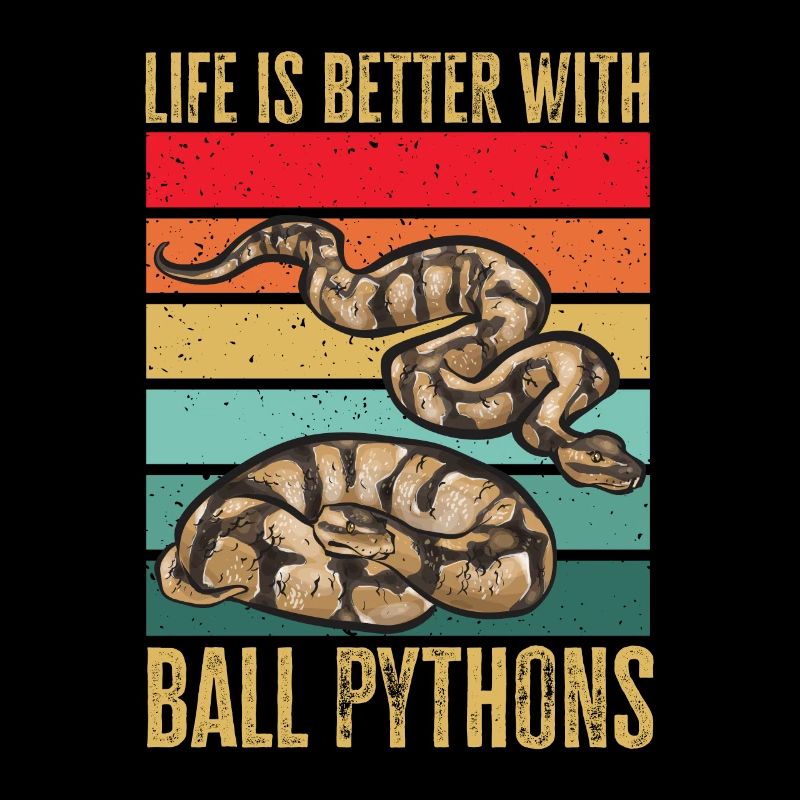 Ball Python Schlange Königspython