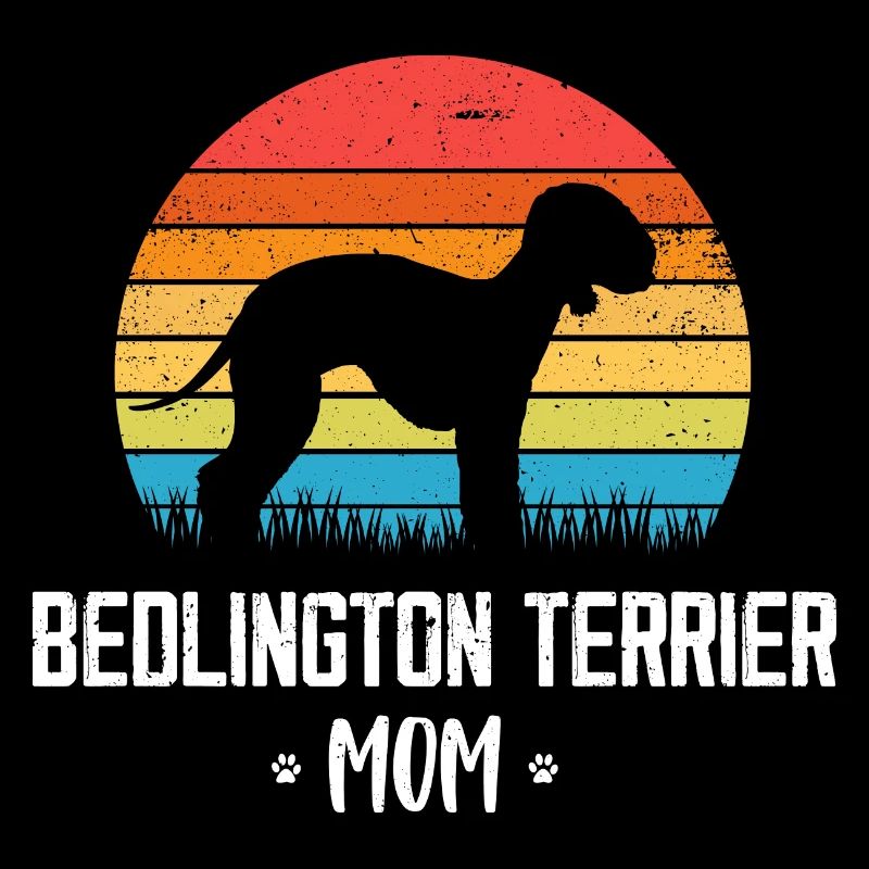 Bedlington Terrier