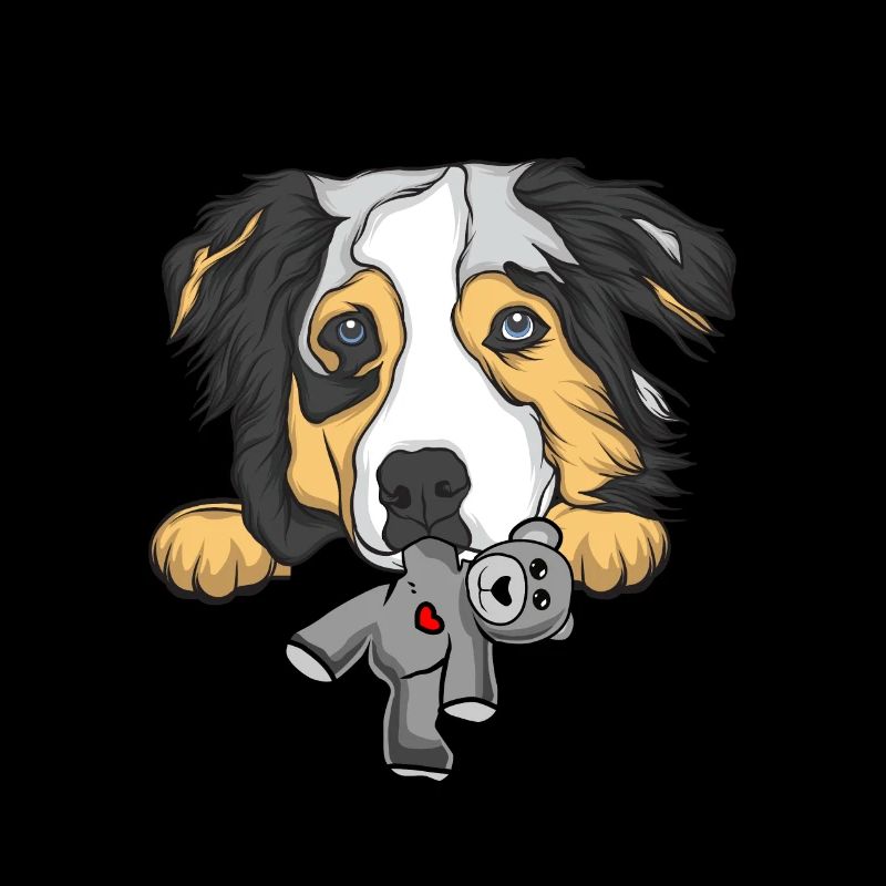 Australian Shepherd