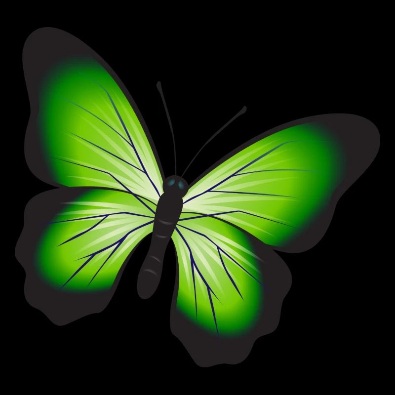 Un beau papillon