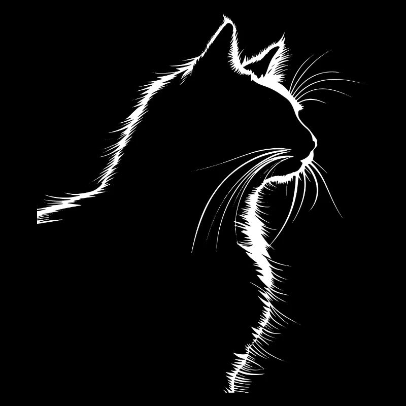 Chat, Motif De Chat