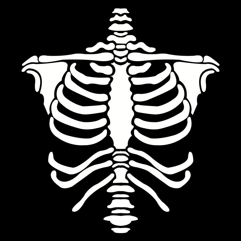 Skeleton Body