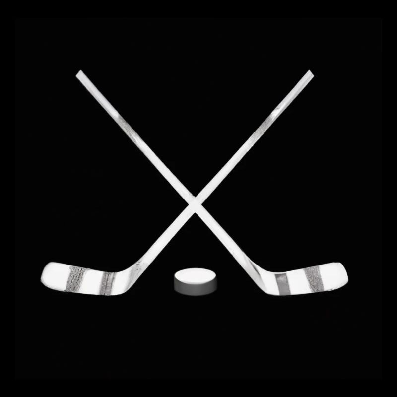 Hockeyschläger mit Puck