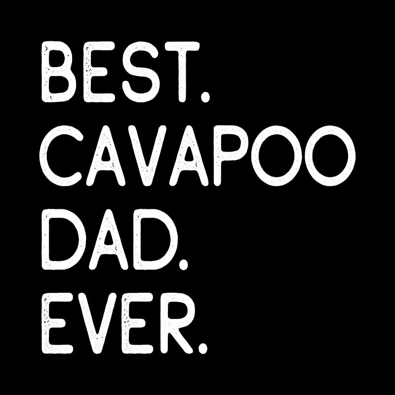 Cavapoo Cavoodle