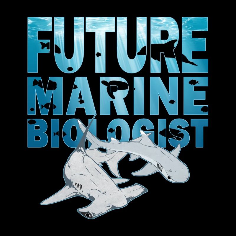 Requin-marteau à pointe blanche