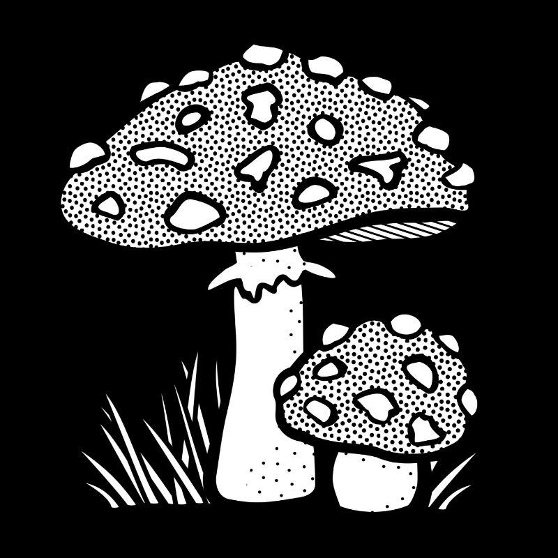 champignons champignons vegetables113 veggie veggie champignons