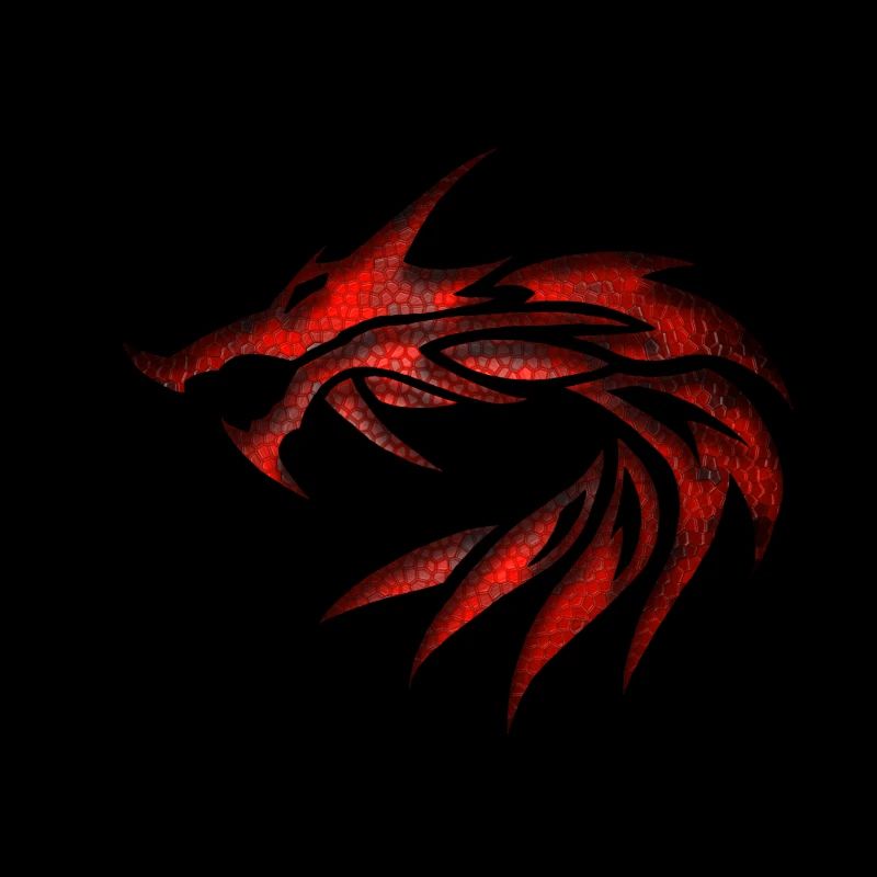 Drachen Stamm 1a