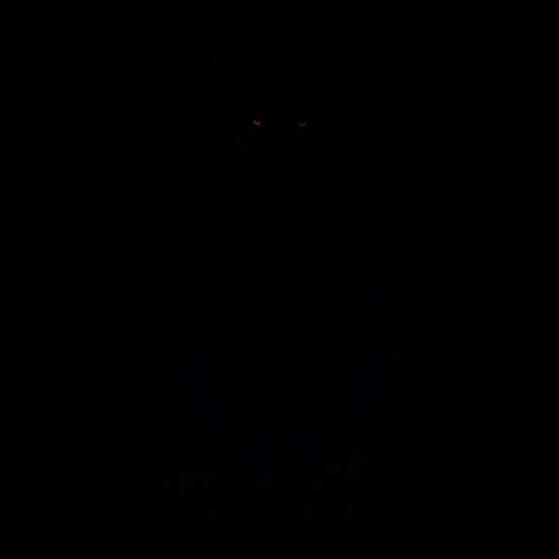 Wolf im Anzug