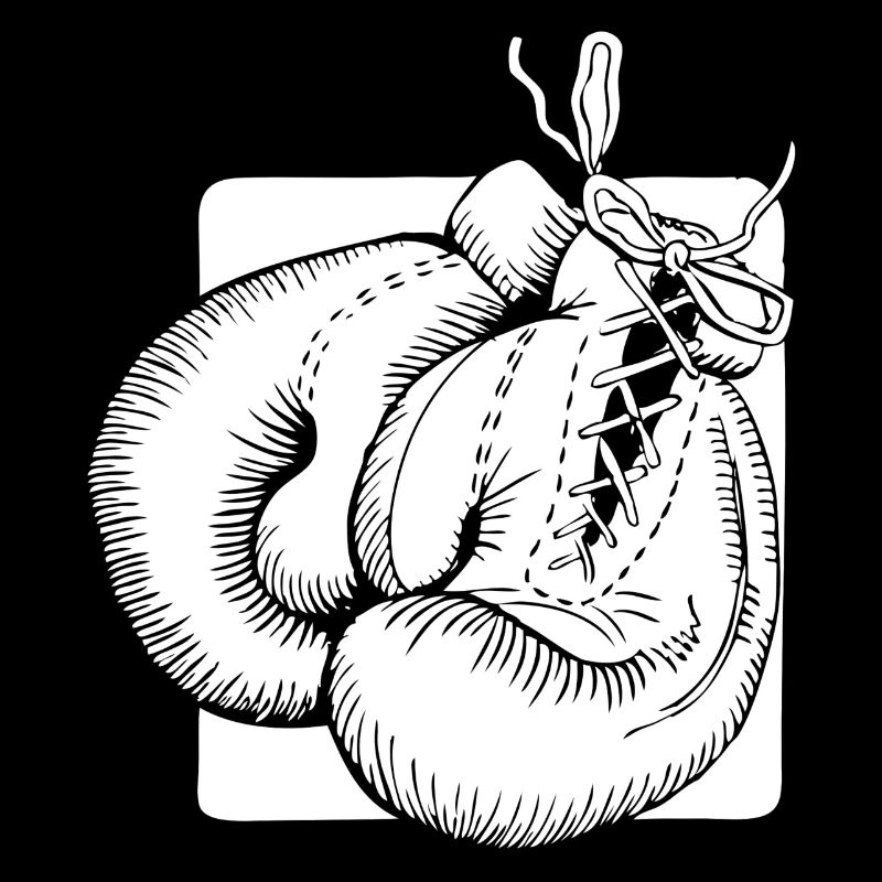 Boxhandschuhe