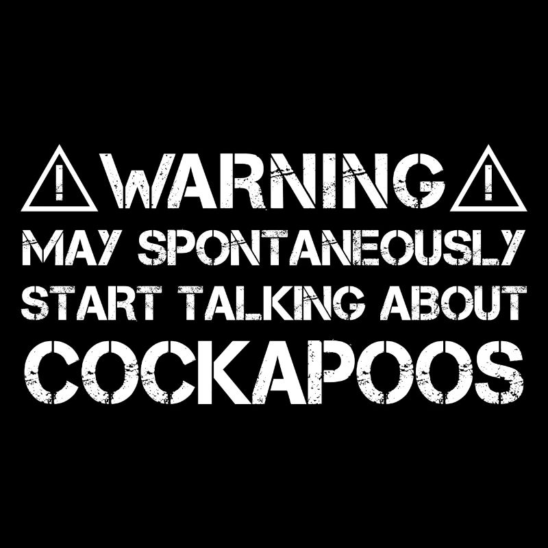 Cockapoo