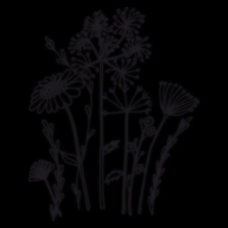 Fleurs séchées noires
