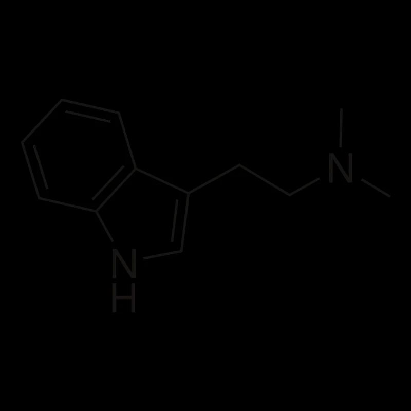 DMT Molekül - schwarz