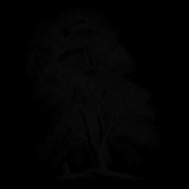Baum-2-01