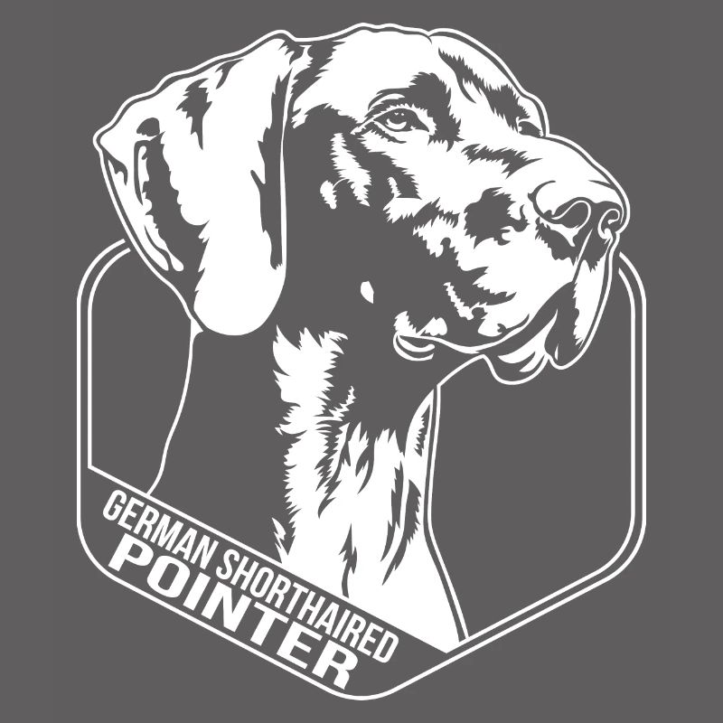 German Shorthaired Pointer Hund Wilsigns Jagdhunde